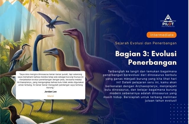 Bagian 3: Evolusi Penerbangan